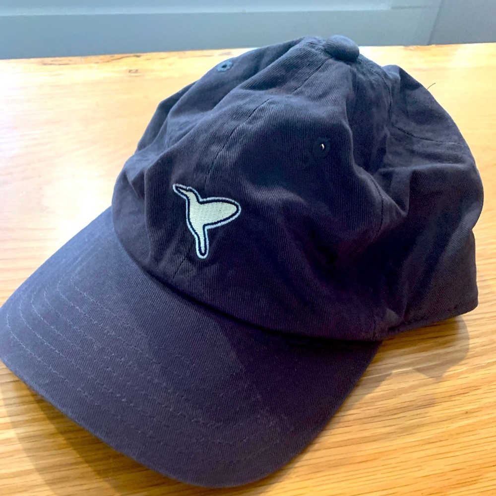 Birddogs Hat